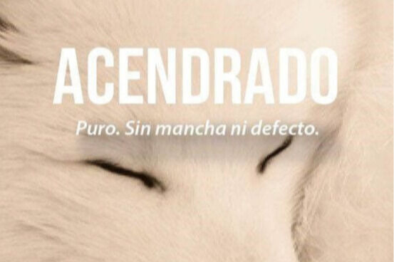 68rodenas - acendrado.jpg