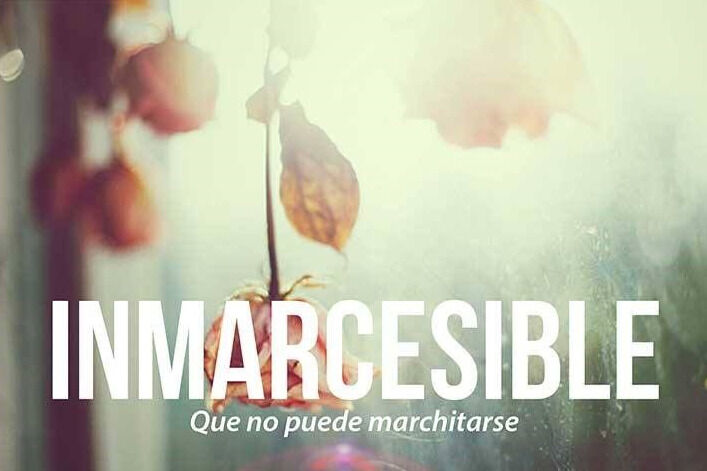 68rodenas - inmarcesible.jpg