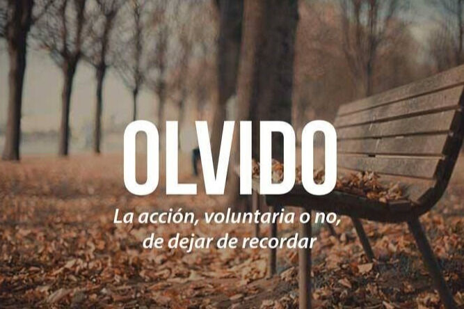 68rodenas - olvido.jpg