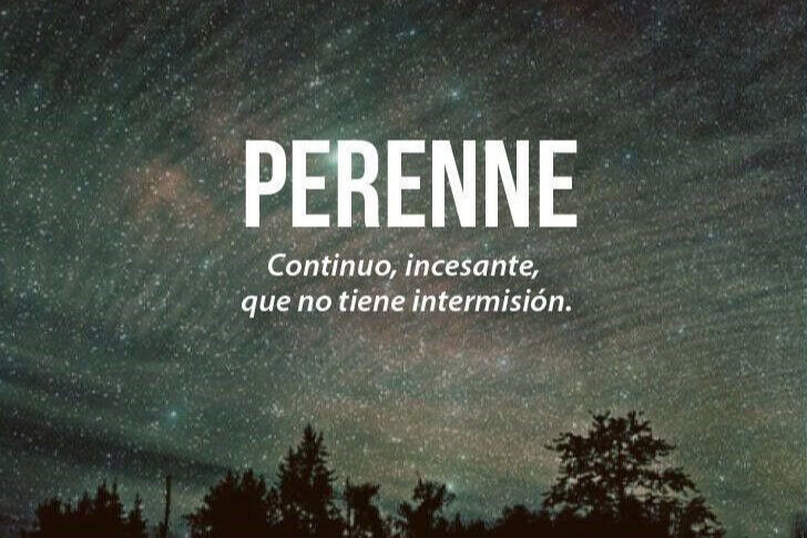 68rodenas - perenne.jpg