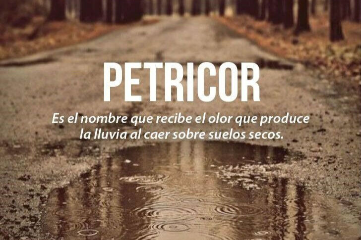 68rodenas - petricor.jpg