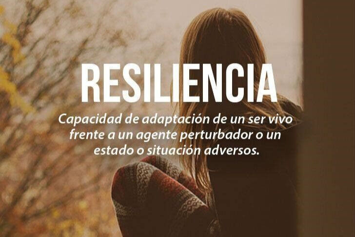 68rodenas - resiliencia.jpg
