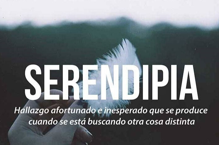 68rodenas - serendipia.jpg